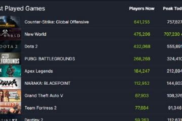 New World reaches 600,000 simultaneous players on day one
