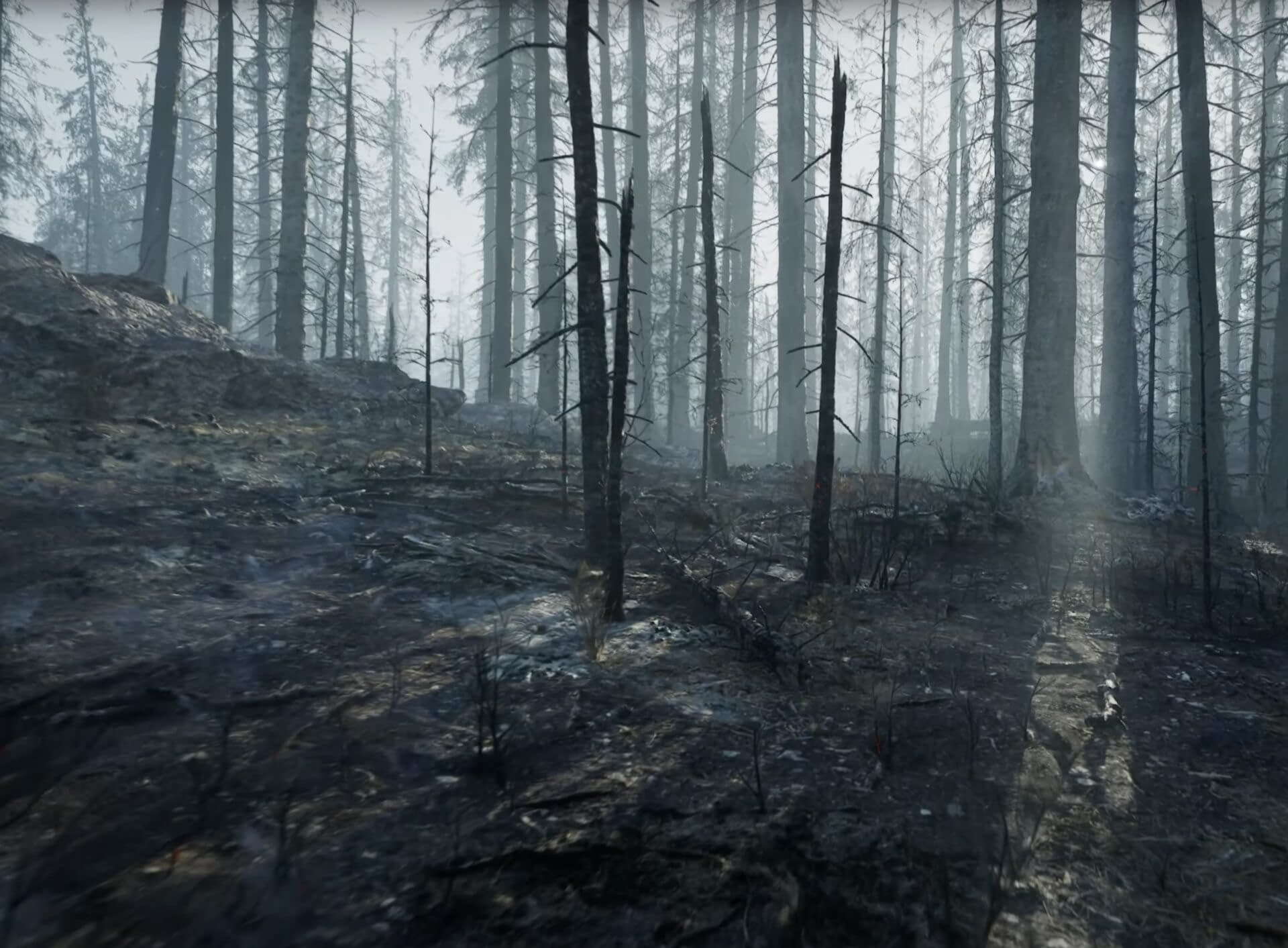 The demo released for Unreal Engine 5 to step into the burning forest