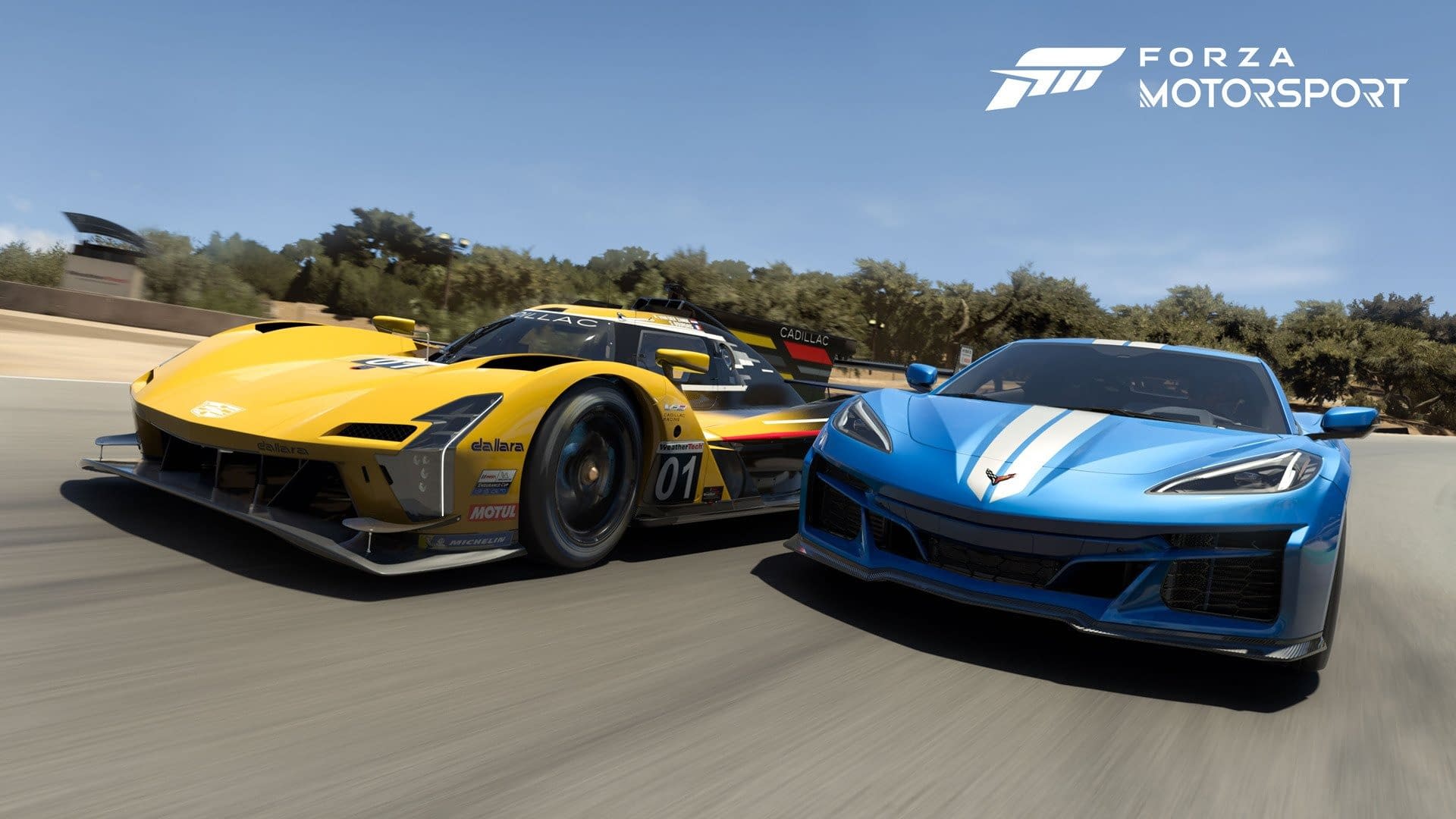 Forza Motorsport Released New to Pirate Before The Day