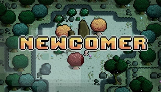 Pixel Graphic Roleplay Newcomer Contributes to Foreign Language Learning
