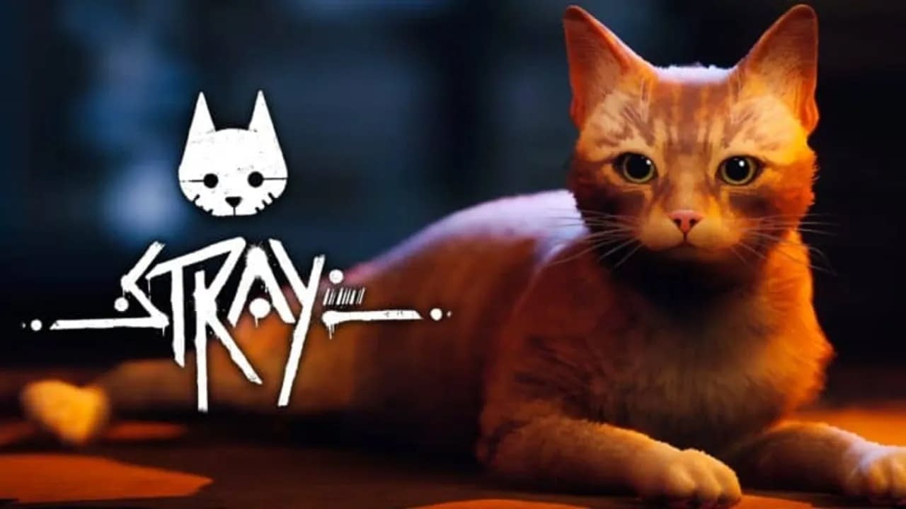 Animation Adaptation for Stray Comes: Here Details